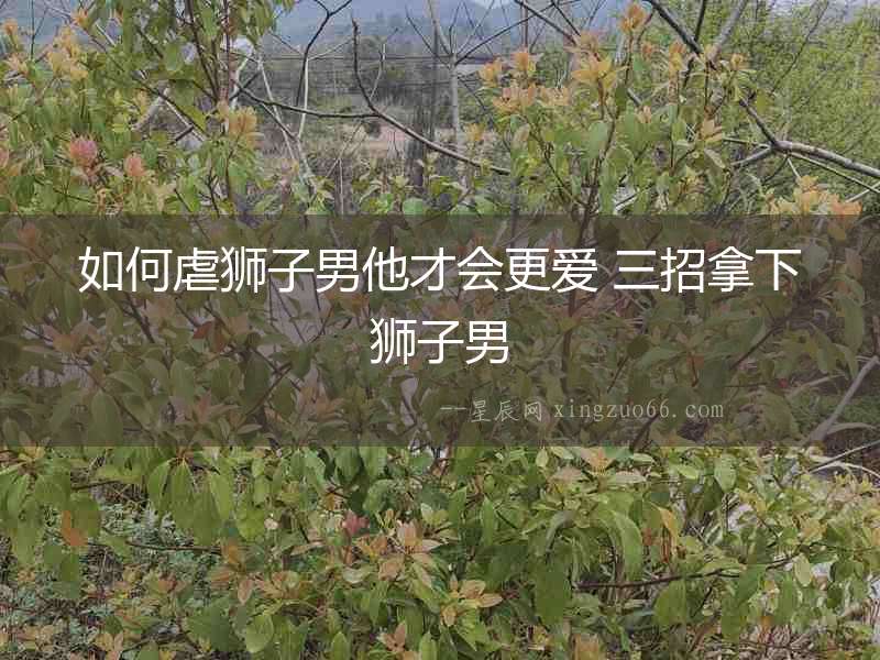 如何虐獅子男他才會更愛 三招拿下獅子男