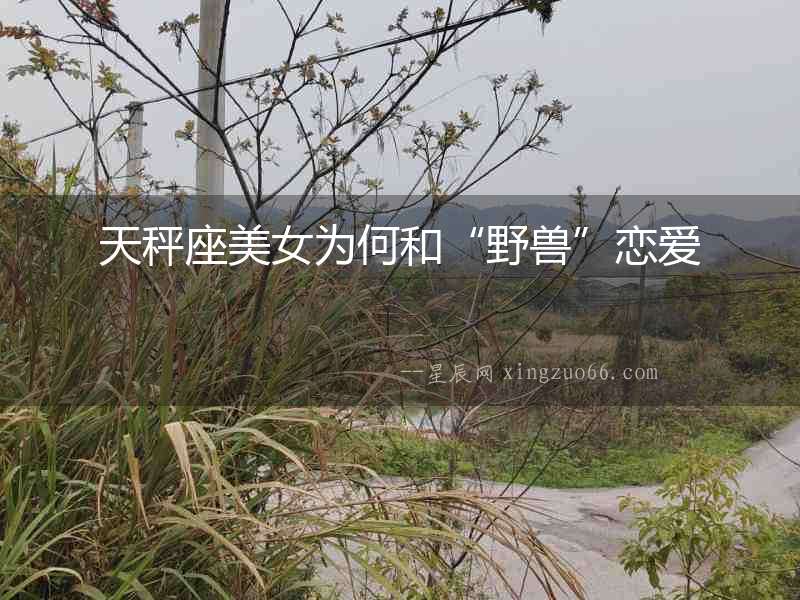 天秤座美女為何和“野獸”戀愛
