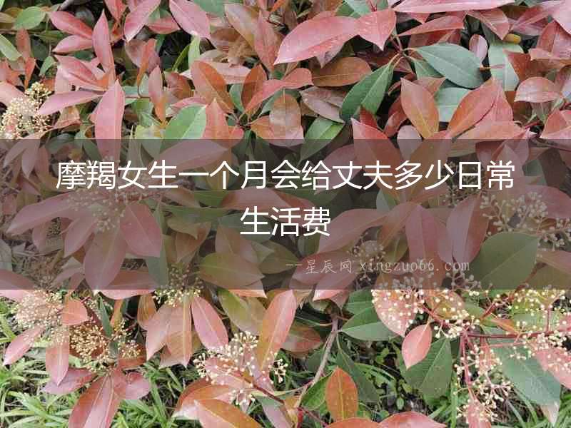 摩羯女生一個月會給丈夫多少日常生活費