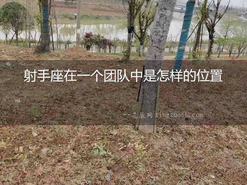 射手座在一個團隊中是怎樣的位置