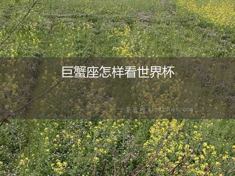 巨蟹座怎樣看世界杯