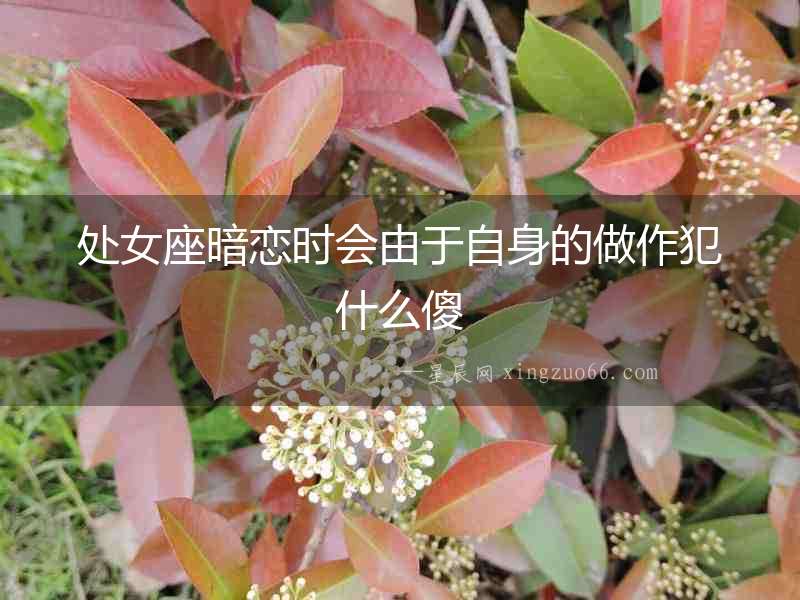 處女座暗戀時會由于自身的做作犯什么傻