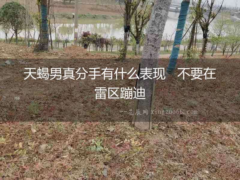 天蝎男真分手有什么表現   不要在雷區蹦迪