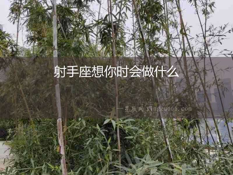 射手座想你時(shí)會(huì)做什么