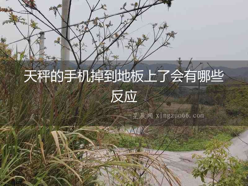 天秤的手機掉到地板上了會有哪些反應