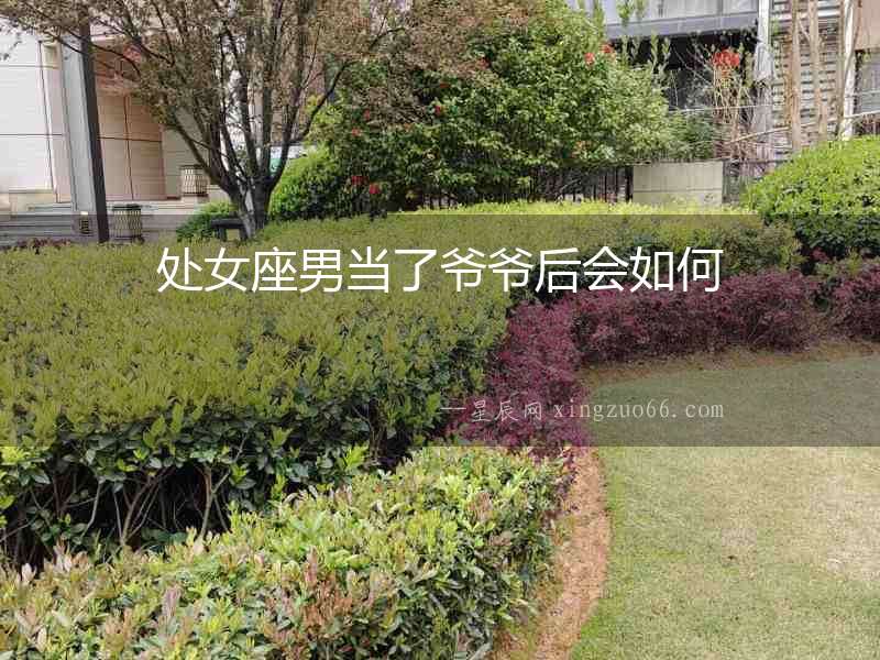 處女座男當(dāng)了爺爺后會(huì)如何
