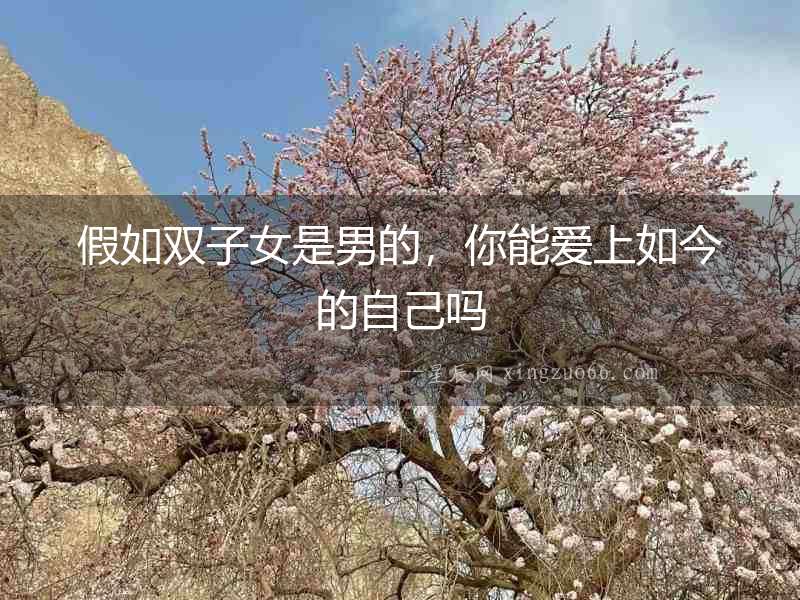 假如雙子女是男的，你能愛上如今的自己嗎