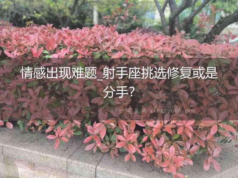 情感出現難題_射手座挑選修復或是分手？