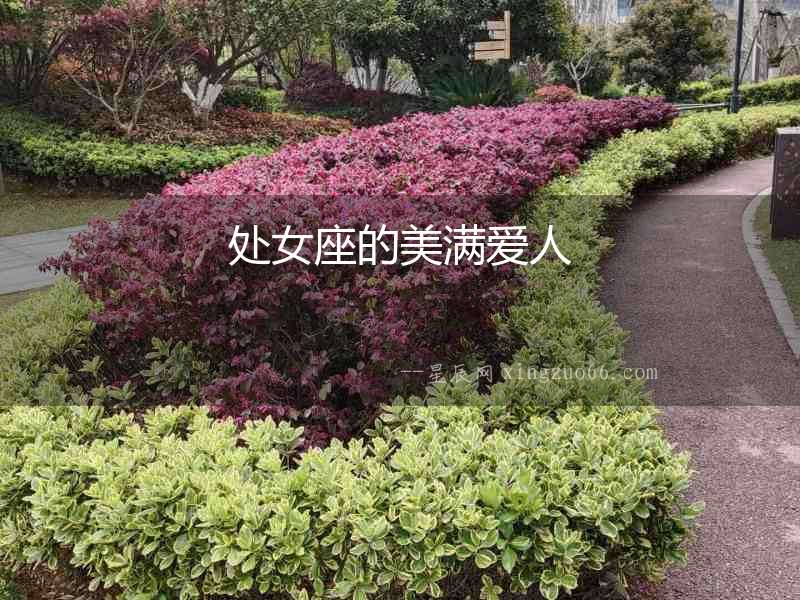 處女座的美滿愛人