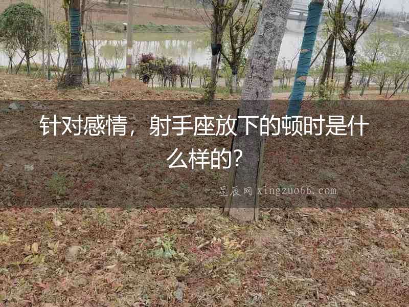 針對感情，射手座放下的頓時是什么樣的？