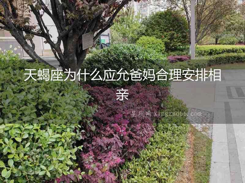 天蝎座為什么應允爸媽合理安排相親