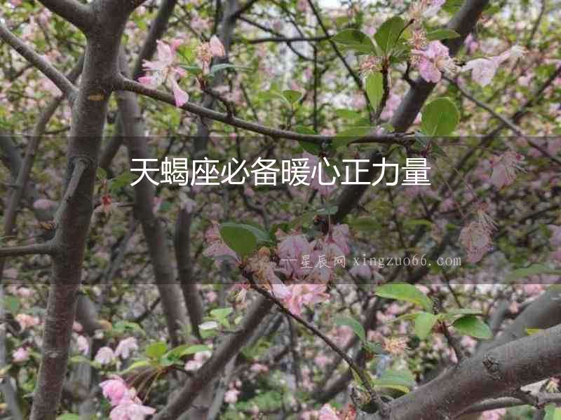 天蝎座必備暖心正力量