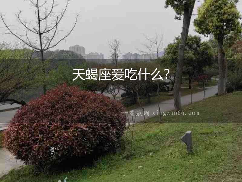 天蝎座愛吃什么？