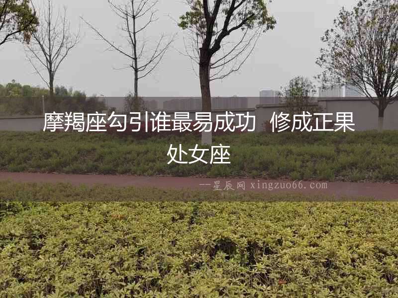 摩羯座勾引誰最易成功  修成正果處女座