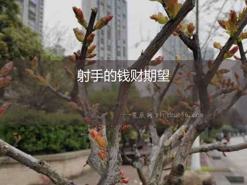 射手的錢財(cái)期望