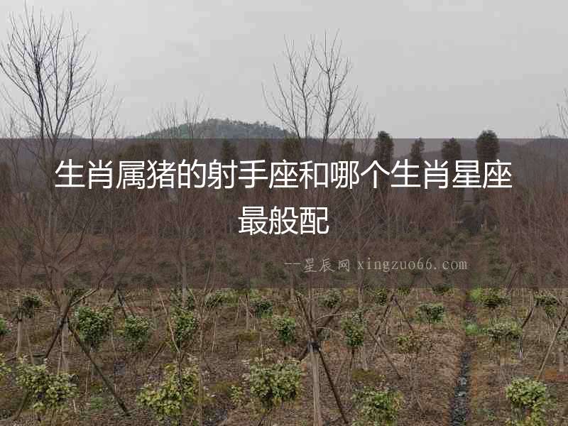 生肖屬豬的射手座和哪個(gè)生肖星座最般配