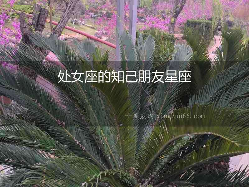 處女座的知己朋友星座