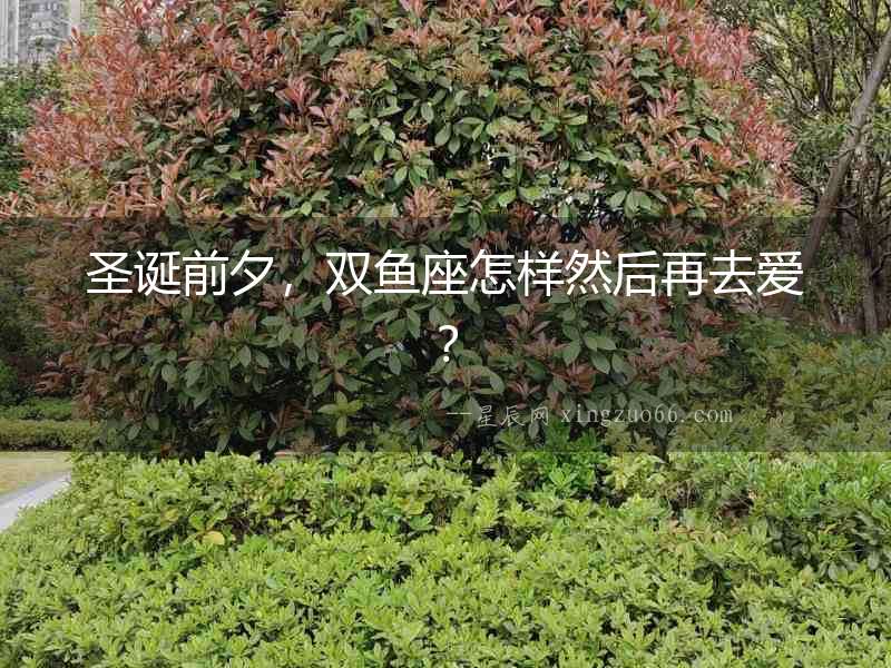 圣誕前夕，雙魚座怎樣然后再去愛？