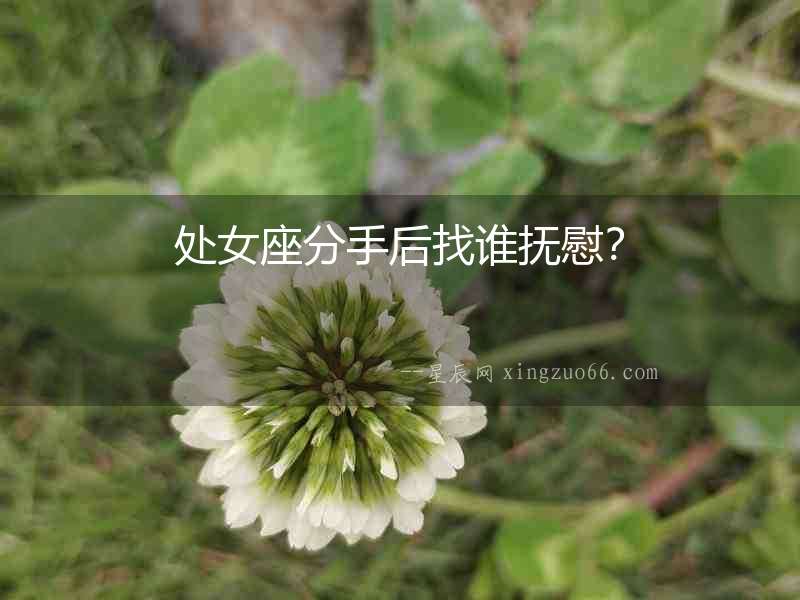 處女座分手后找誰(shuí)撫慰？
