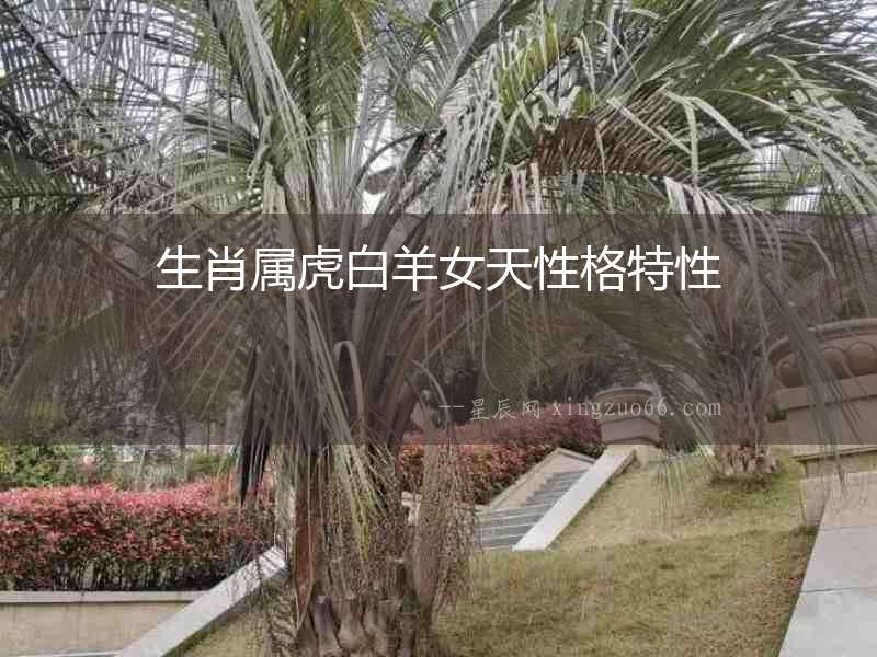 生肖屬虎白羊女天性格特性