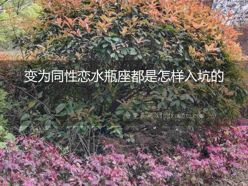 變為同性戀水瓶座都是怎樣入坑的