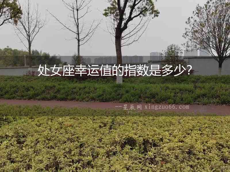 處女座幸運值的指數是多少？