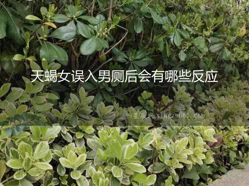 天蝎女誤入男廁后會有哪些反應