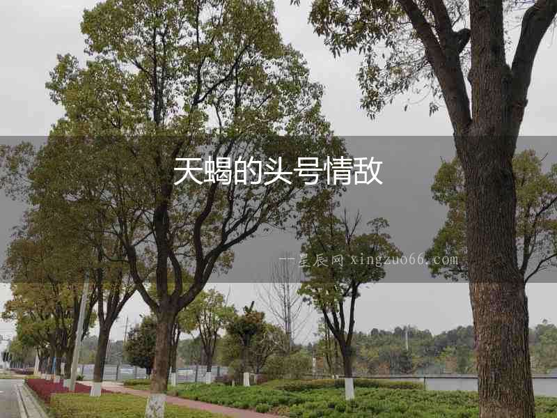 天蝎的頭號情敵
