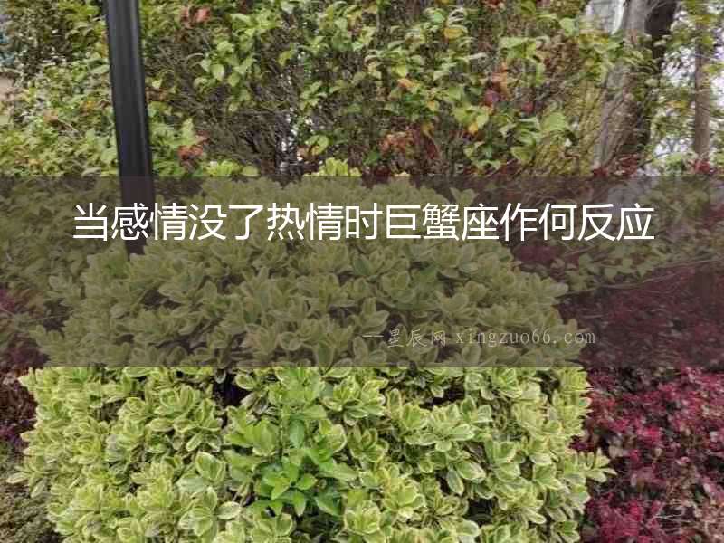 當感情沒了熱情時巨蟹座作何反應
