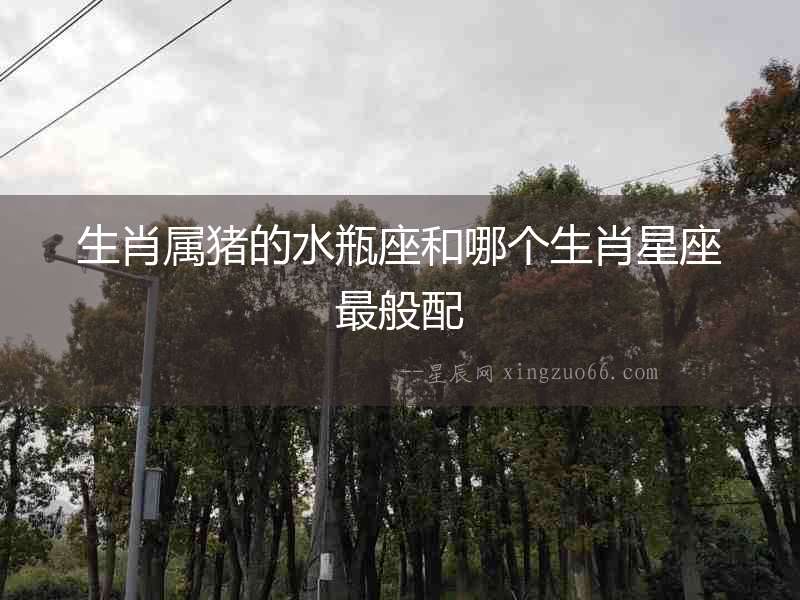 生肖屬豬的水瓶座和哪個生肖星座最般配