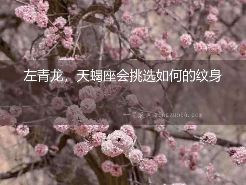左青龍，天蝎座會挑選如何的紋身