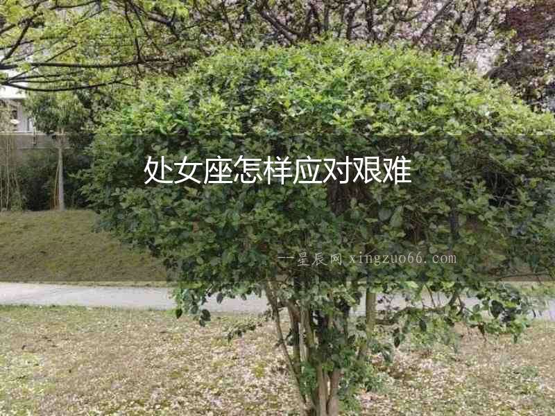 處女座怎樣應(yīng)對艱難