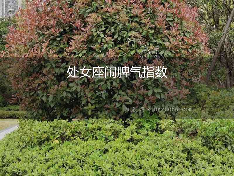 處女座鬧脾氣指數