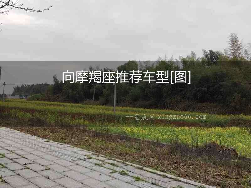 向摩羯座推薦車型[圖]