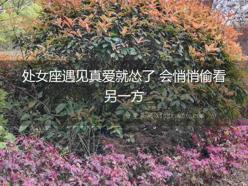 處女座遇見真愛就慫了 會悄悄偷看另一方