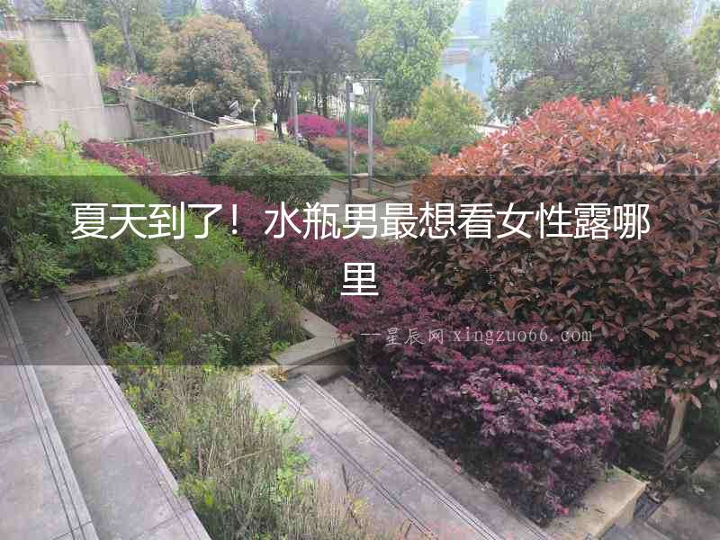 夏天到了！水瓶男最想看女性露哪里