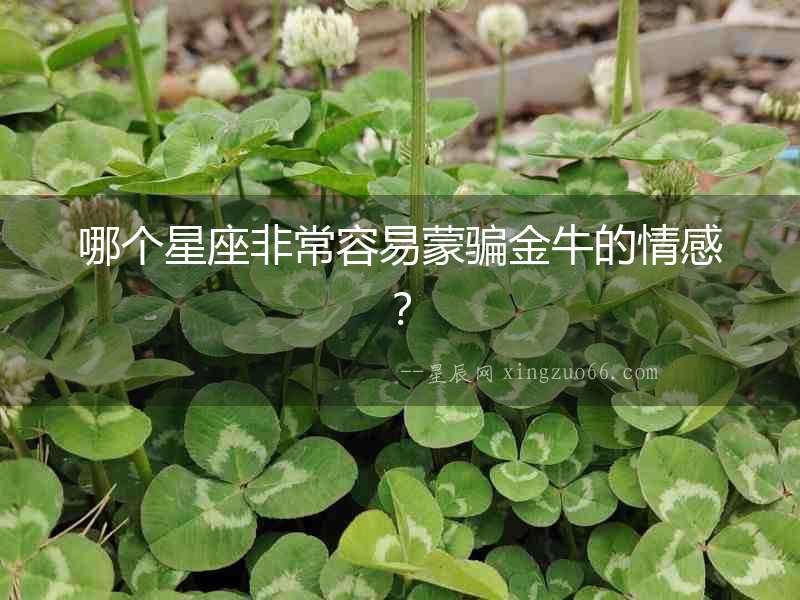哪個星座非常容易蒙騙金牛的情感？