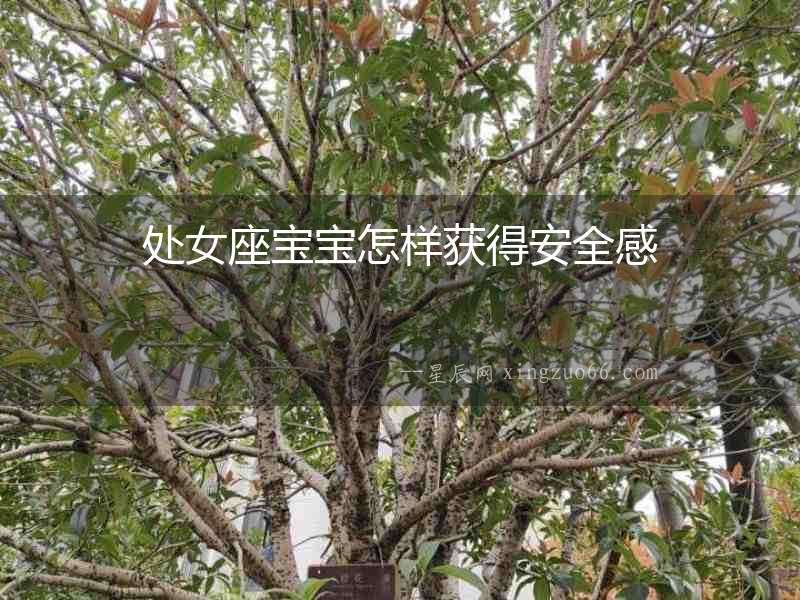 處女座寶寶怎樣獲得安全感
