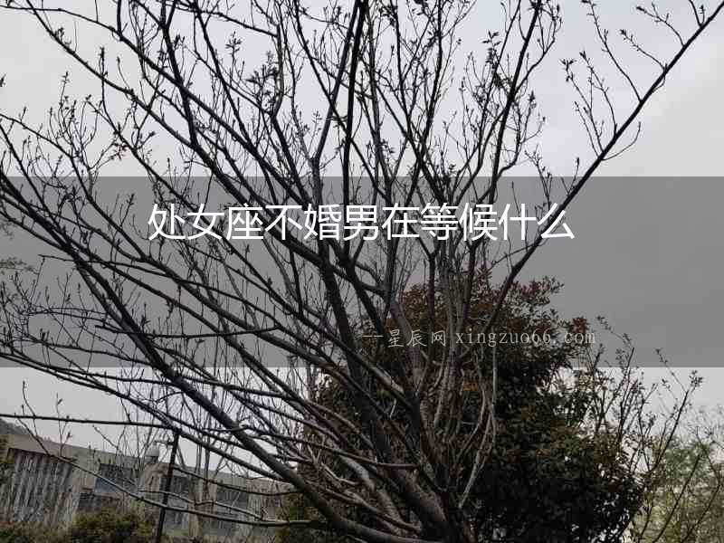 處女座不婚男在等候什么