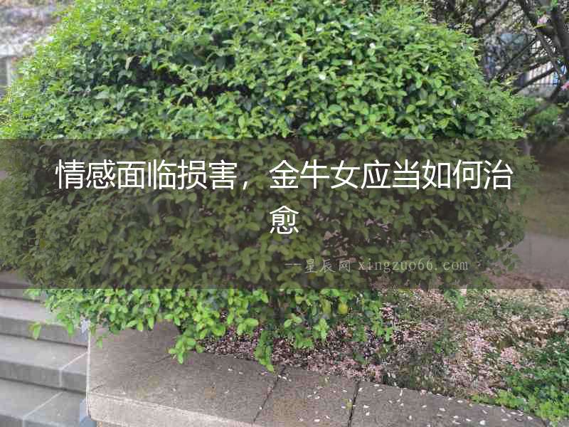 情感面臨損害，金牛女應(yīng)當(dāng)如何治愈