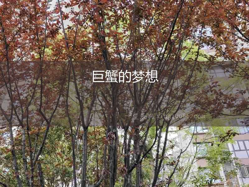 巨蟹的夢想