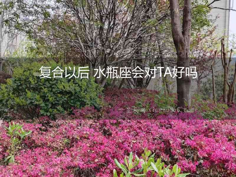 復合以后 水瓶座會對TA好嗎