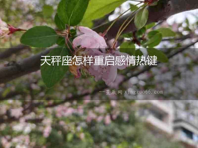 天秤座怎樣重啟感情熱鍵