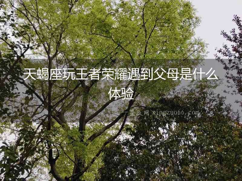 天蝎座玩王者榮耀遇到父母是什么體驗(yàn)
