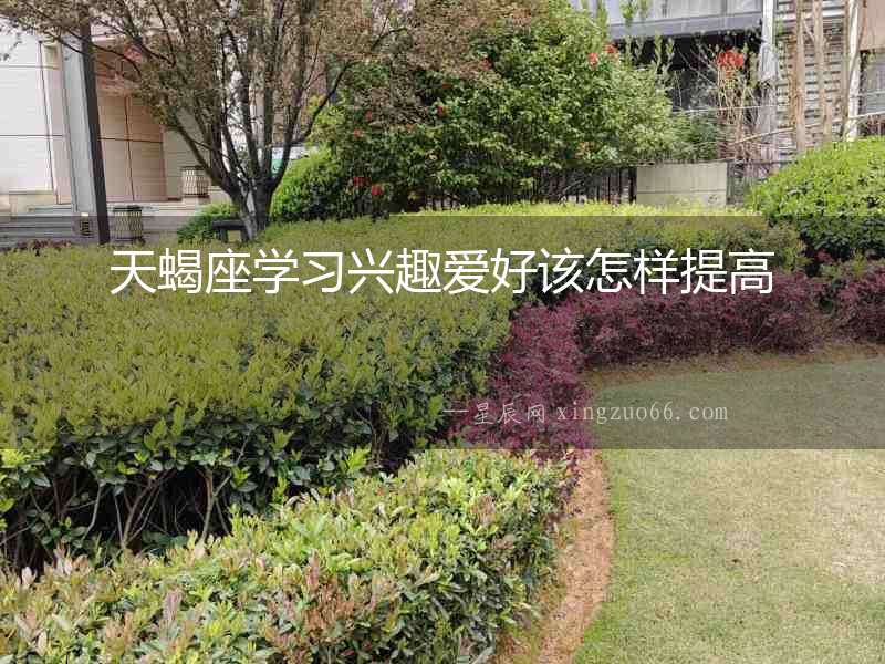 天蝎座學習興趣愛好該怎樣提高