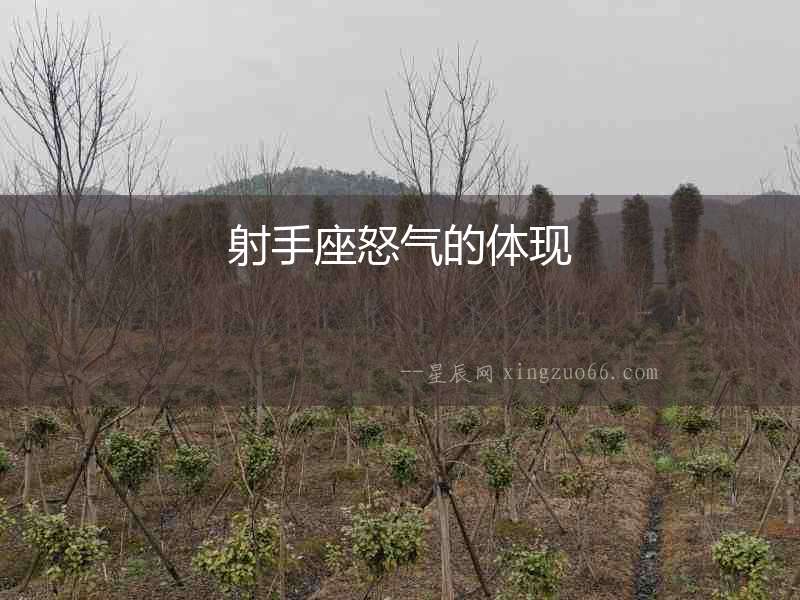 射手座怒氣的體現