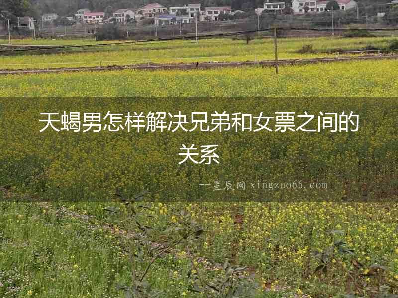 天蝎男怎樣解決兄弟和女票之間的關系