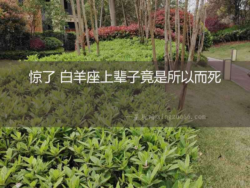 驚了 白羊座上輩子竟是所以而死
