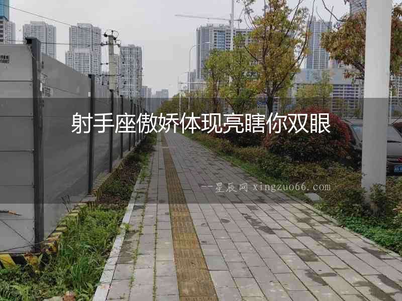 射手座傲嬌體現亮瞎你雙眼