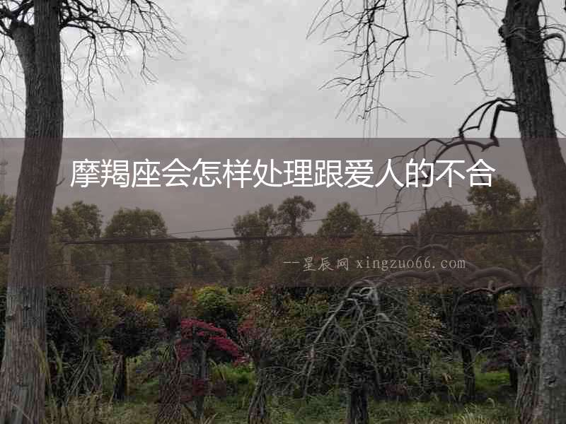 摩羯座會怎樣處理跟愛人的不合